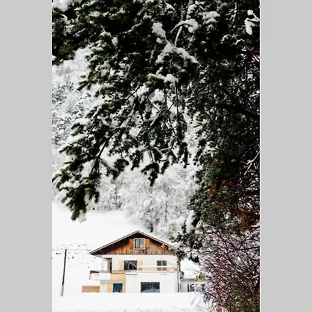 Nature * Thones